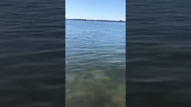 Experience Coded Water Now