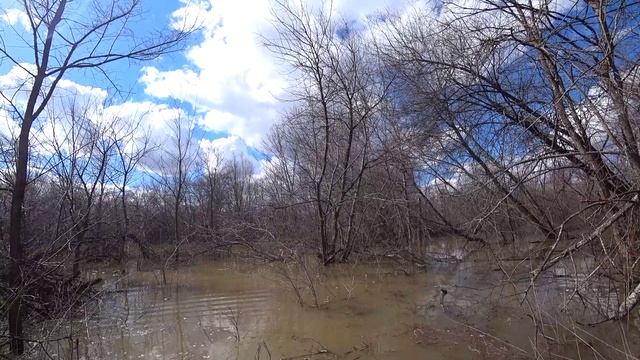 На мотоцикле Урал по лесу весной смотреть онлайн