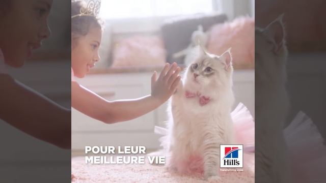 La nutrition Hill's pour chats, pour leur meilleure vie смотреть онлайн