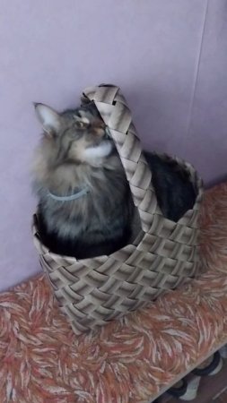 Люська!!