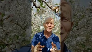 проЗРЕНИЕ. Апрель 25.