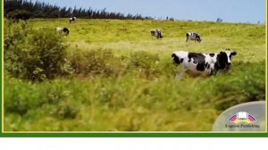 Action 11  Module 1  Cloning