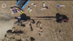 Синицына Дарьяна. "Его Величество, Лапоть"