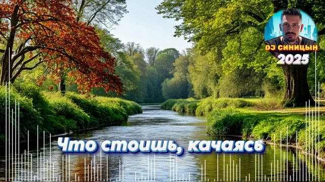 DJ СИНИЦЫН - Что стоишь, качаясь 2025