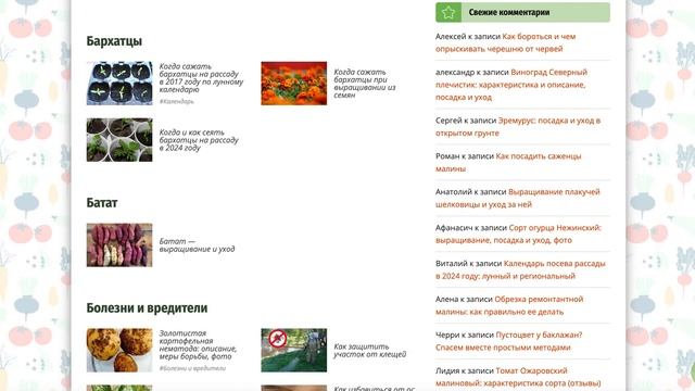 🌱 Огород без хлопот: Советы садоводам и огородникам 🌱