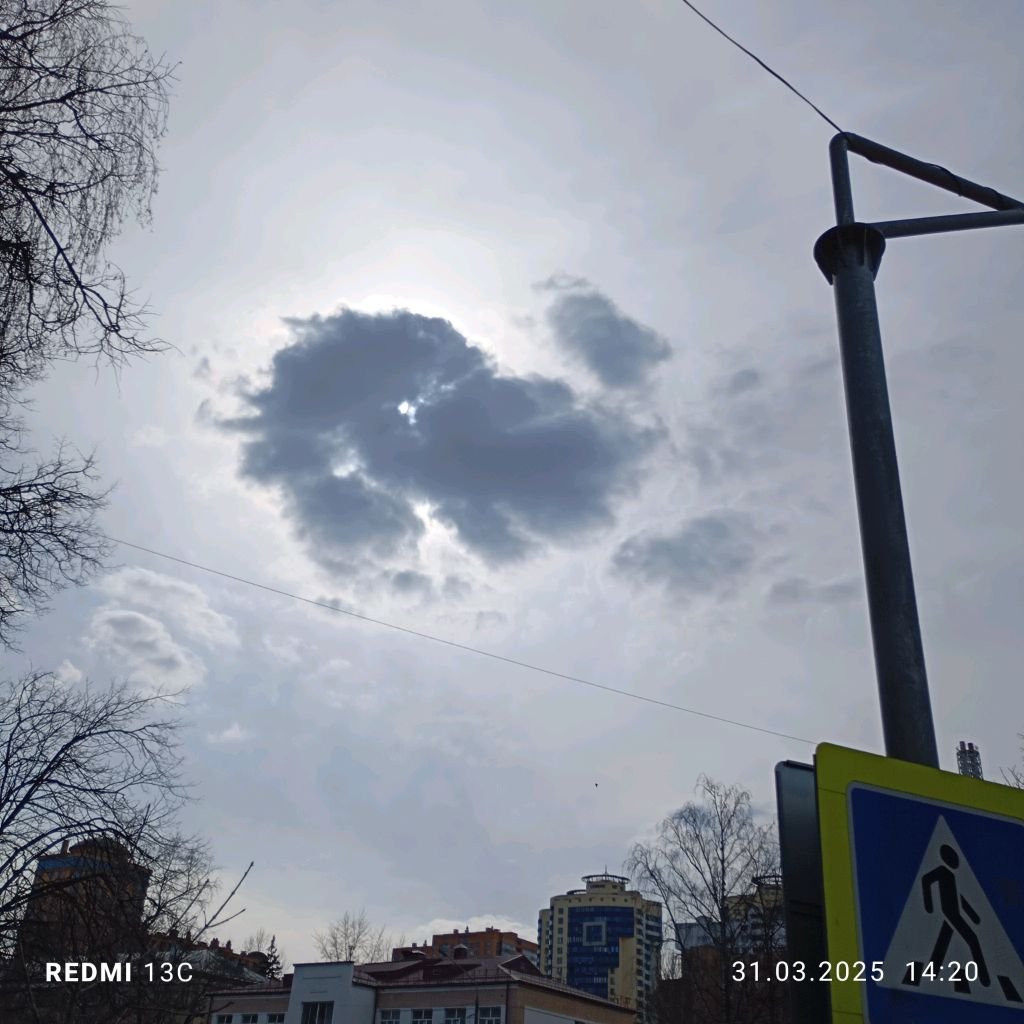 обзор