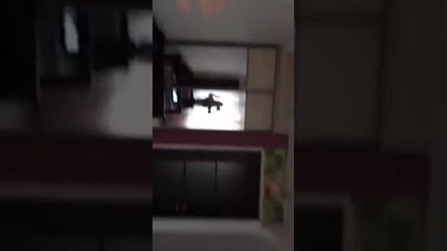 ЭТО ВСЕ МОЁ   03 44 09