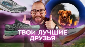 Топ 5 кроссовок, которые подойдут для аджилити