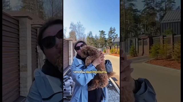 Как вернуть взаимопонимание с вашим питомцем?📣