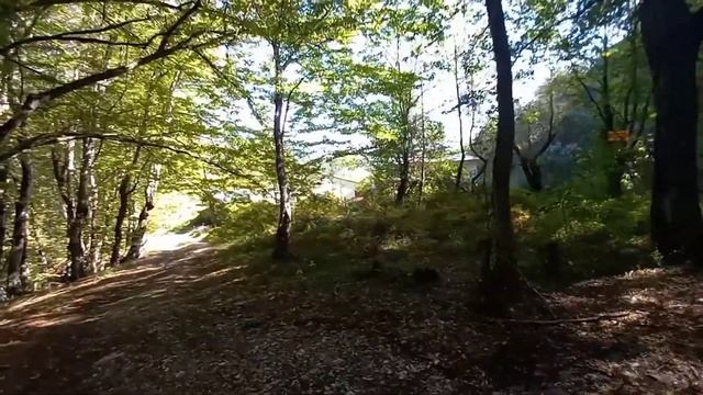 Участок в лесу за 1,8 млн руб Сочи Мацеста