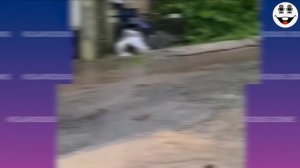 Жизнь смешных и жизнерадостных людей 😆  ПОПРОБУЙ НЕ РАССМЕЯТЬСЯ 😂😁😆 Мгновенное сожаление