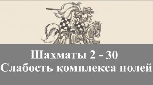 Шахматы 2-30. Слабость комплекса полей