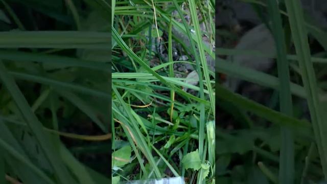 Случай на рыбалке смотреть онлайн