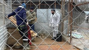 Помощь от администрации. Нет слов