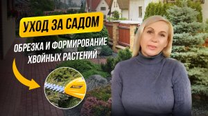 Весенние работы в саду. Обрезка и формирование хвойных растений
