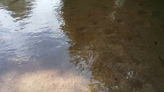 /storage/3879-3849/DCIM/Camera/VID20240311115706.mp4 🌍 31°18'36.4"N, 102°18'51.1"E смотреть онлайн