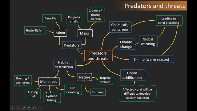 Biology of Coral and Coral Bleaching by Izzat смотреть онлайн