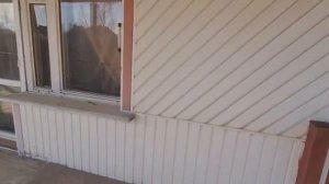 Дом в городе