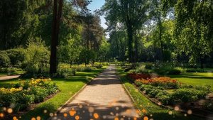 Ги Де Мопассан - В пути и другие рассказы | Лучшие Аудиокниги. Елена Понеделина