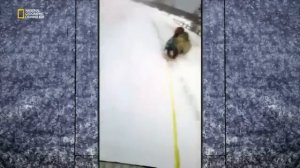 Научные глупости 4