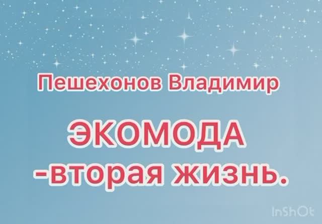 МДОБУ № 5, Пешехонов Владимир, конкурс "ЭкоМода" 2025