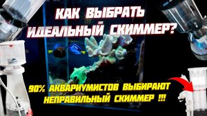 Как выбрать идеальный скиммер?