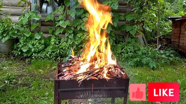 Шашлык на день рожденье! смотреть онлайн