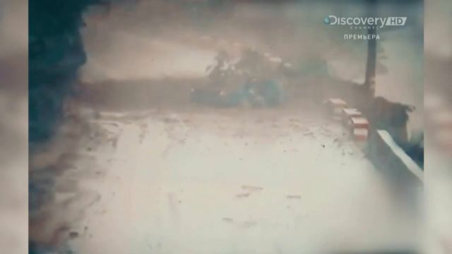 Хаос в действии: кадры очевидцев 9 серия (документальный сериал, 2015)