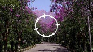 ТИМУР ХИДИРБЕКОВ - МОЙ ЦВЕТОК 2025