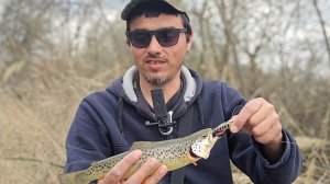 Крупная форель.