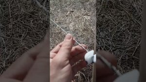 Как организовать пастбище для скота весной