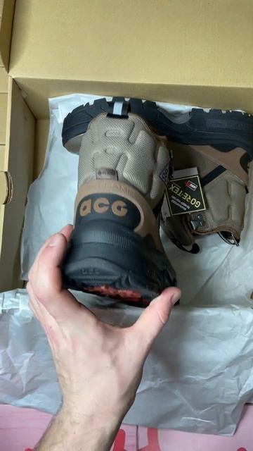 Кроссовки Nike ACG Air Zoom Gaiadome Gore-Tex Trails End Brown | ссылка на магазин в комментариях