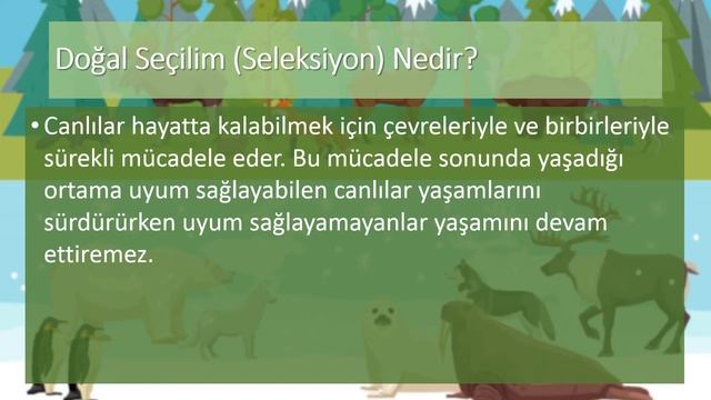 8.Sınıf Fen Bilimleri 2.Ünite: DNA ve Genetik Kod - 4.Adaptasyon (Çevreye Uyum) Konu Anlatımı смотреть онлайн
