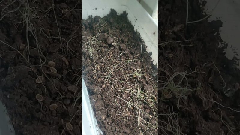 Радости женщины за сорок