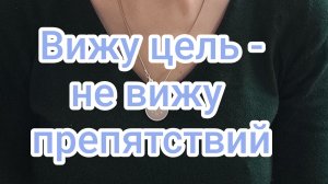 Вижу цель - не вижу препятствий