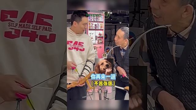 Set 46｜奥运冠军都害怕？？？#年轻人小邹 #射箭 #迷惑行为大赏 смотреть онлайн