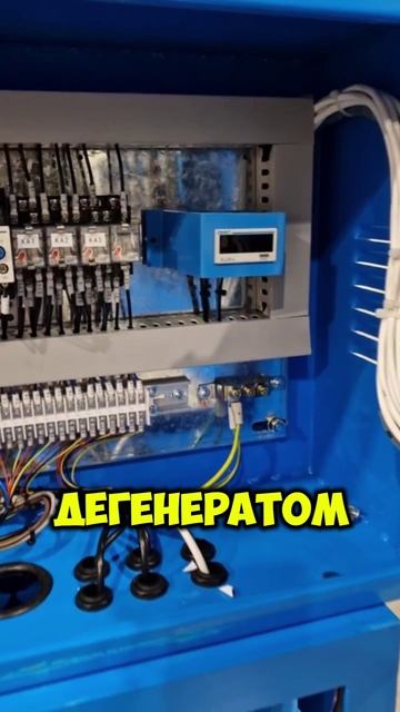 Как Чудят Китайцы смотреть онлайн