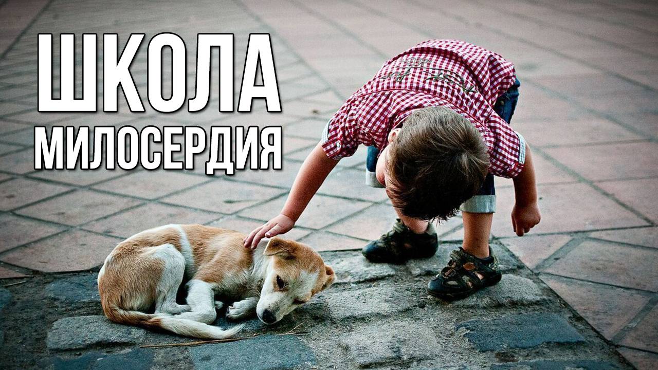 Школа милосердия. «Вечерний Ейск» от 2025.04.04 смотреть онлайн