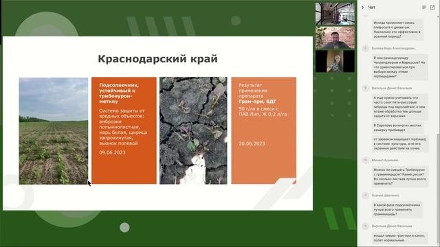 Технология защиты маржинальных культур. Подсолнечник.