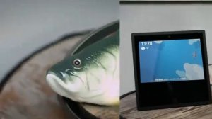 Big Mouth Billy Bass (singing fish) with Alexa