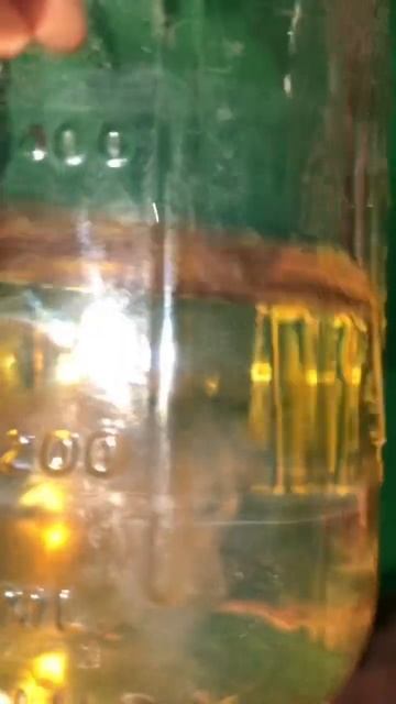 Liquid culture and sawdust spawn video update смотреть онлайн