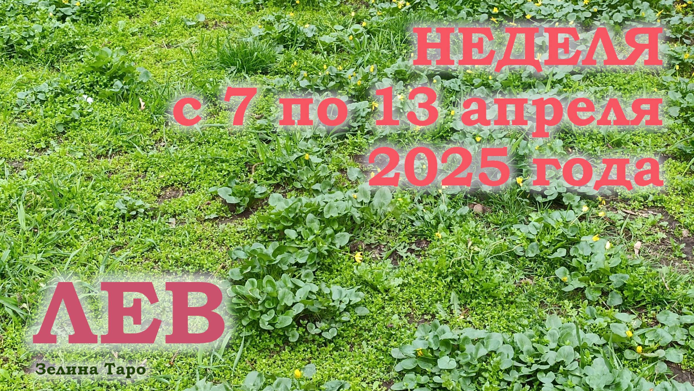 ЛЕВ | ТАРО прогноз на неделю с 7 по 13 апреля 2025 года