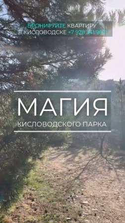 В чем магия Кисловодского парка ?