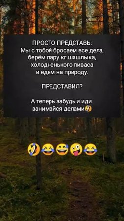😅😅😅
