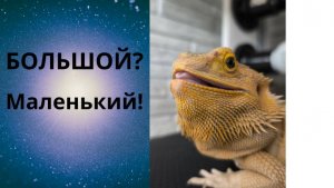 Большой кубик становится маленьким - фокус