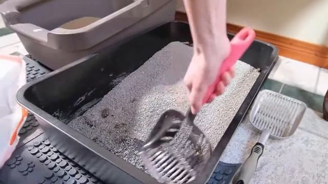 Best Litter For Long Haired Cats-Keep Cat Clean Even When Tray Is Dirty смотреть онлайн