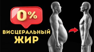 Как Избавиться от Висцерального ЖИРА за 30 Дней. Без Стресса и Голодовок!