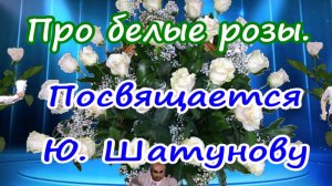 Про белые розы. Посвящается Ю.Шатунову