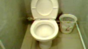 Поющий унитаз