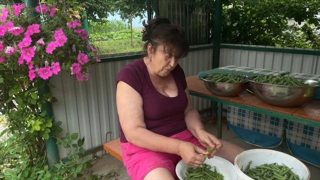 Горох дрібненький-бабуся раденька #Лісапетний батальйон